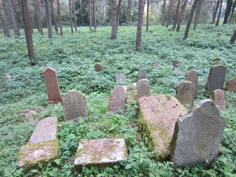 Jewish Cemetery, Grodno, Belarus