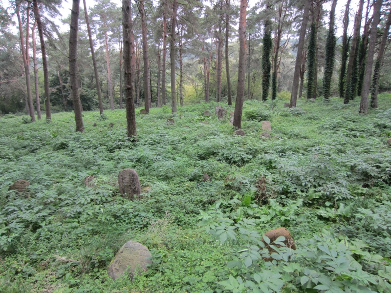 Jewish Cemetery, Grodno, Belarus