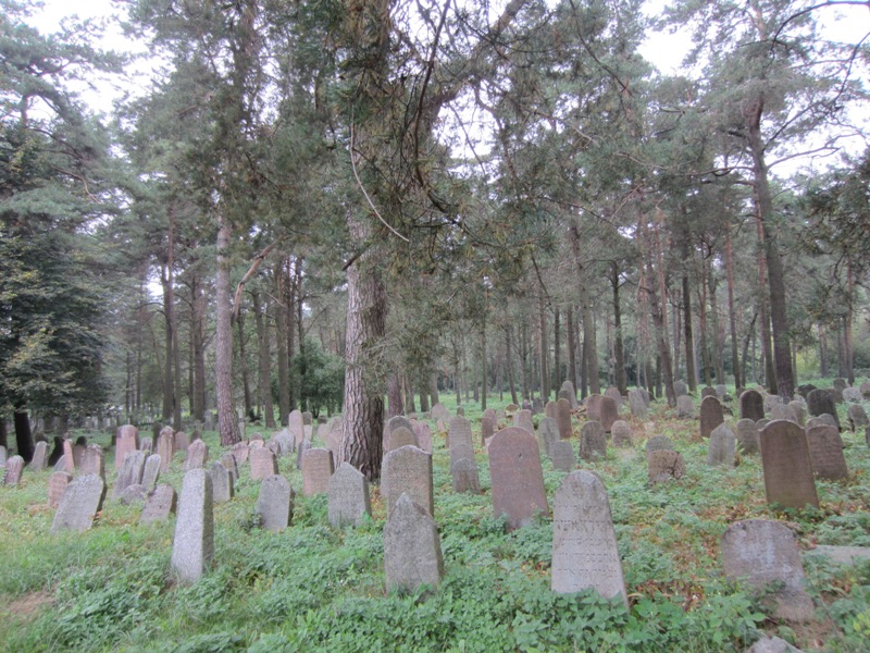 Jewish Cemetery, Grodno, Belarus