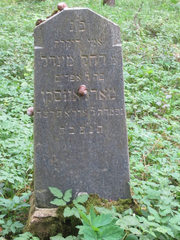 Jewish Cemetery, Grodno, Belarus