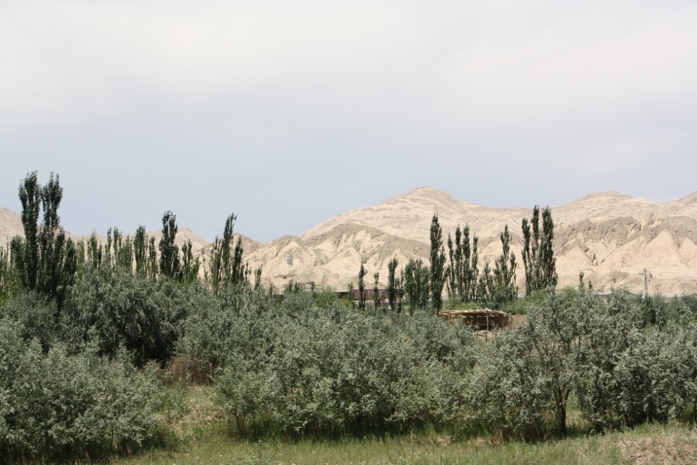 Highway 314, Aksu to Kashgar, Xinjiang, China