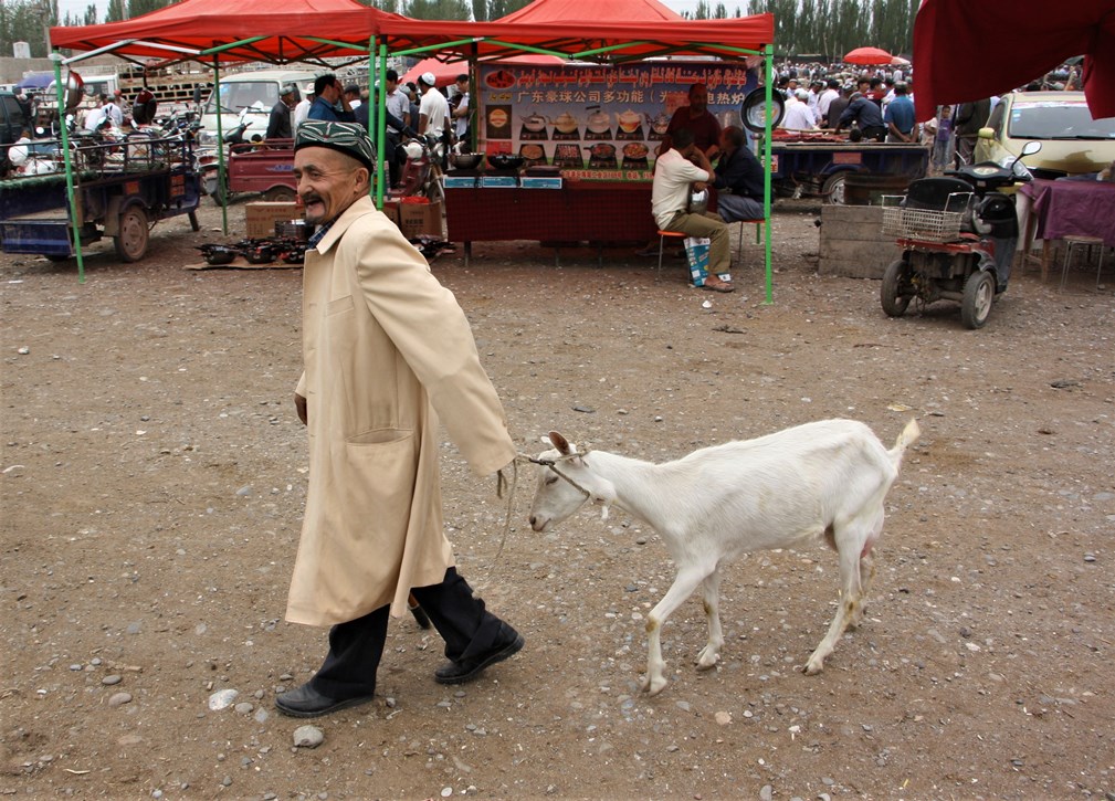   Sunday Livestock Market, Kashgar, Xinjiang, China