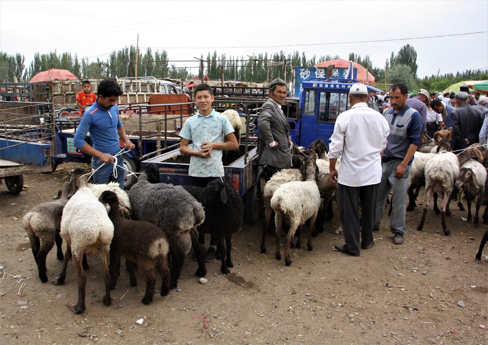   Sunday Livestock Market, Kashgar, Xinjiang, China