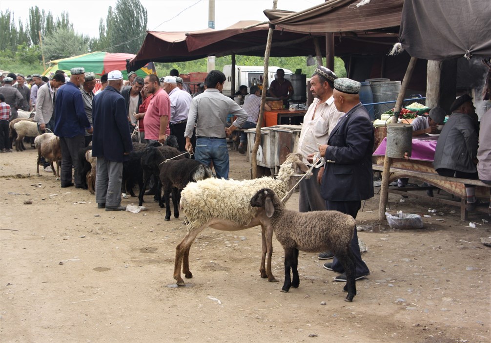   Sunday Livestock Market, Kashgar, Xinjiang, China