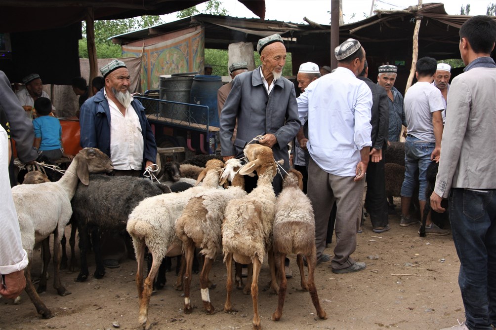   Sunday Livestock Market, Kashgar, Xinjiang, China