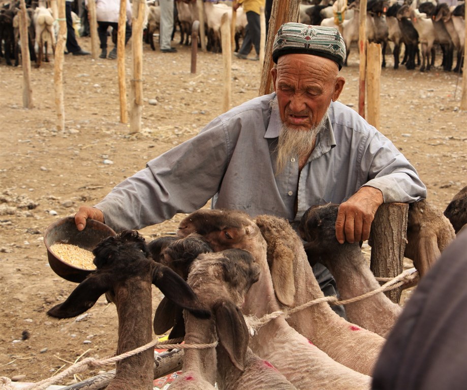 Sunday Livestock Market, Kashgar, Xinjiang, China