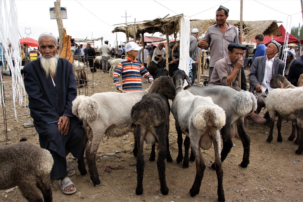   Sunday Livestock Market, Kashgar, Xinjiang, China