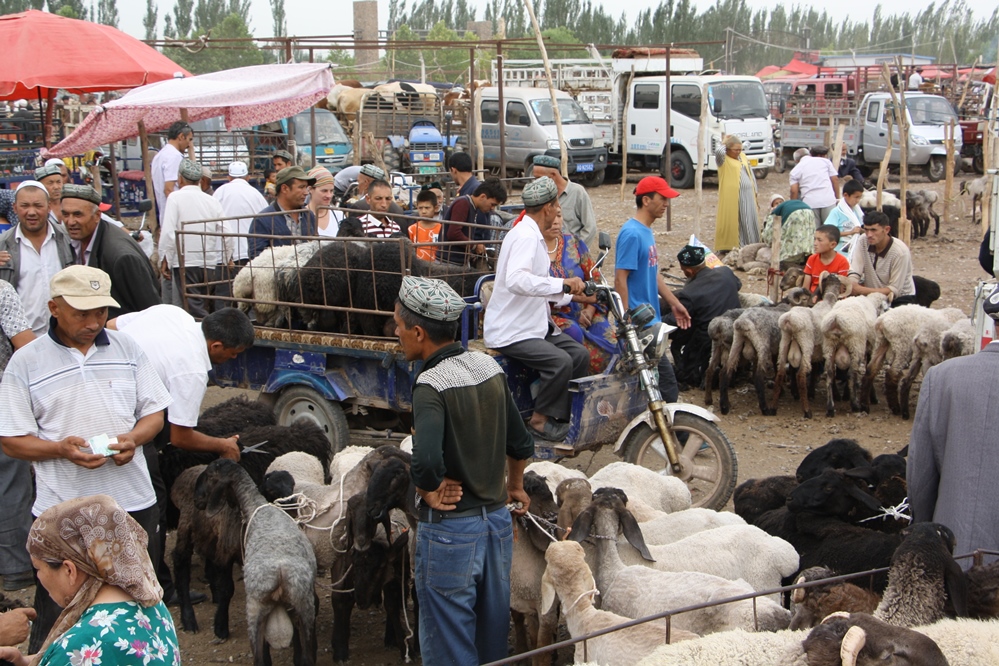 Sunday Livestock Market, Kashgar, Xinjiang, China