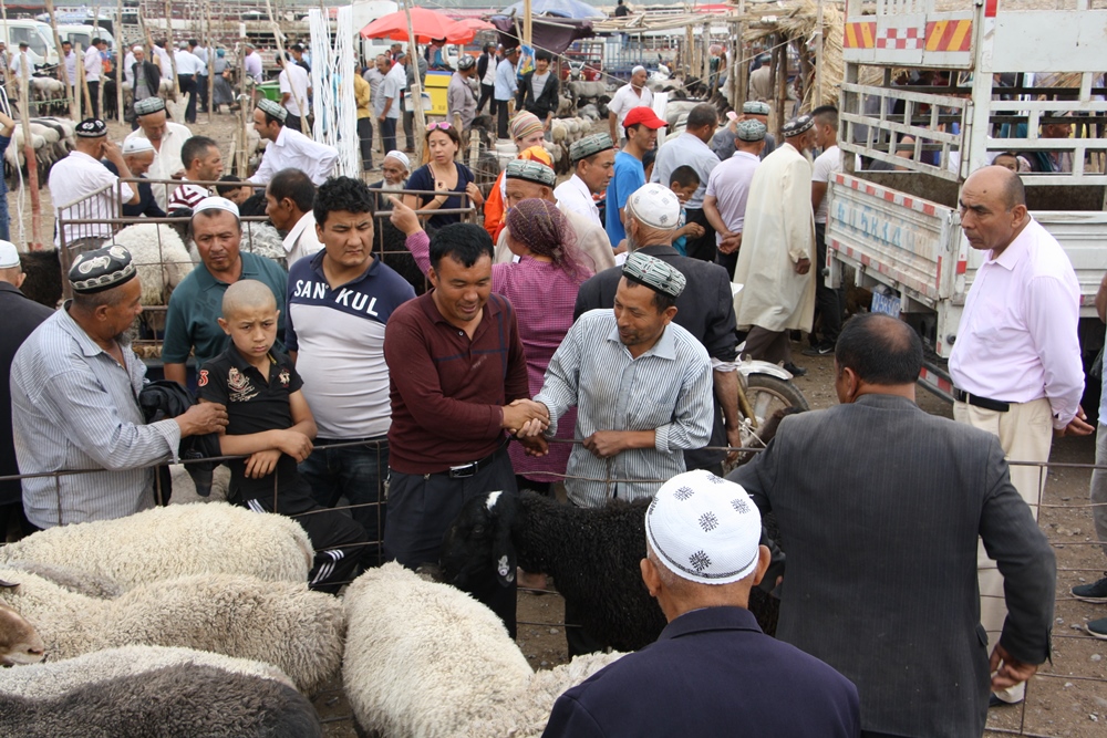 Sunday Livestock Market, Kashgar, Xinjiang, China