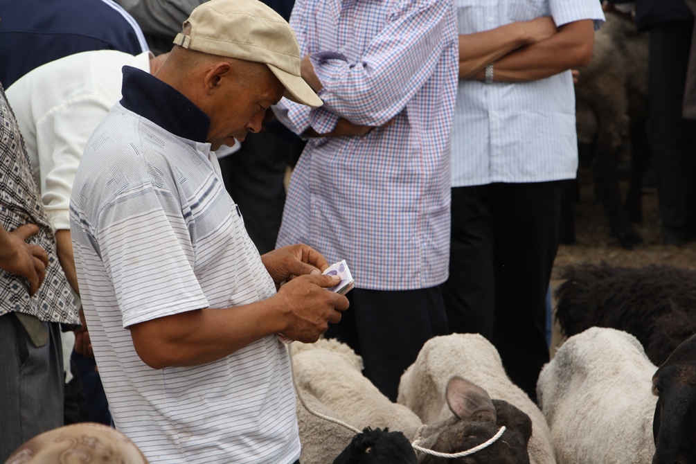 Sunday Livestock Market, Kashgar, Xinjiang, China