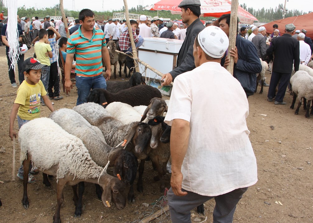 Sunday Livestock Market, Kashgar, Xinjiang, China