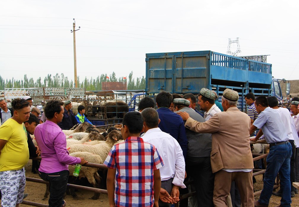  Sunday Livestock Market, Kashgar, Xinjiang, China