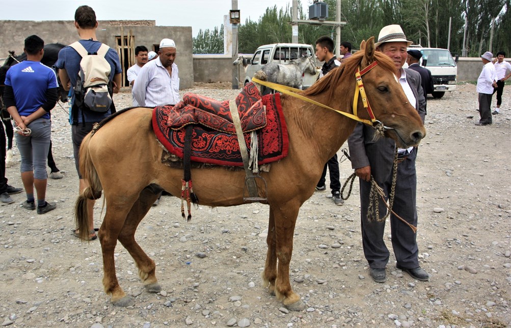   Sunday Livestock Market, Kashgar, Xinjiang, China