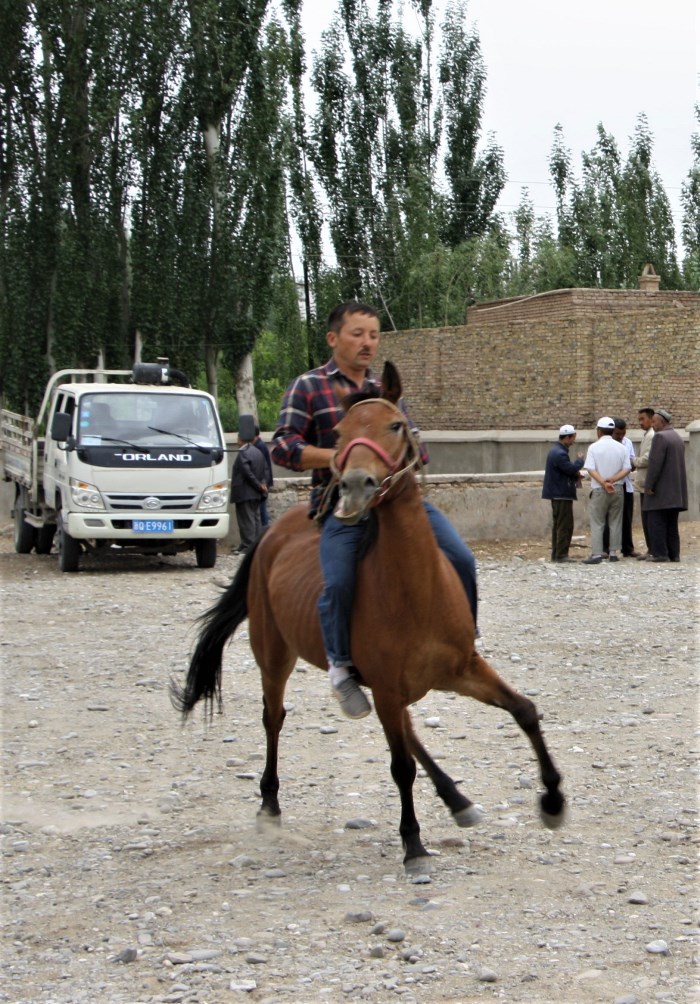 Test Drive, Sunday Livestock Market, Kashgar, Xinjiang, China