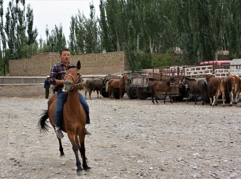 Test Drive, Sunday Livestock Market, Kashgar, Xinjiang, China