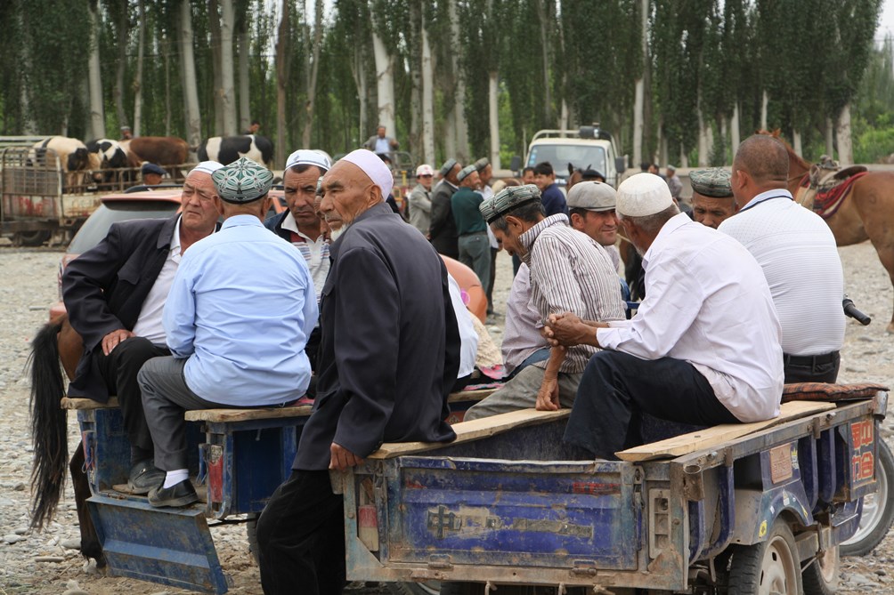 Sunday Livestock Market, Kashgar, Xinjiang, China