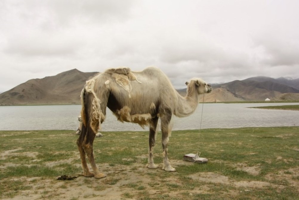 Karakorum Highway, Tajik Autonomous County, Xinjiang, China