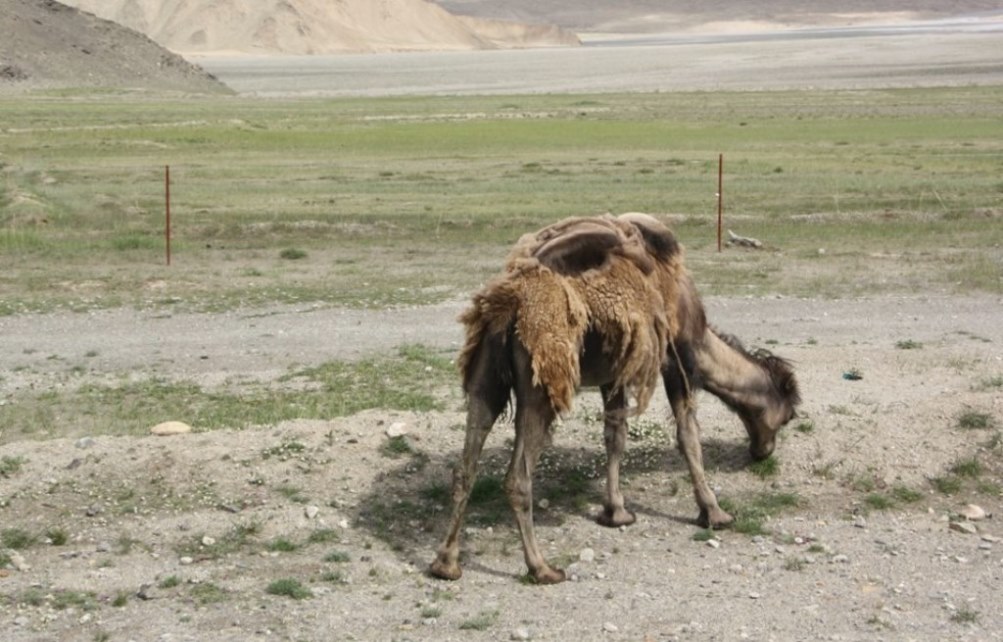 Karakorum Highway, Tajik Autonomous County, Xinjiang, China