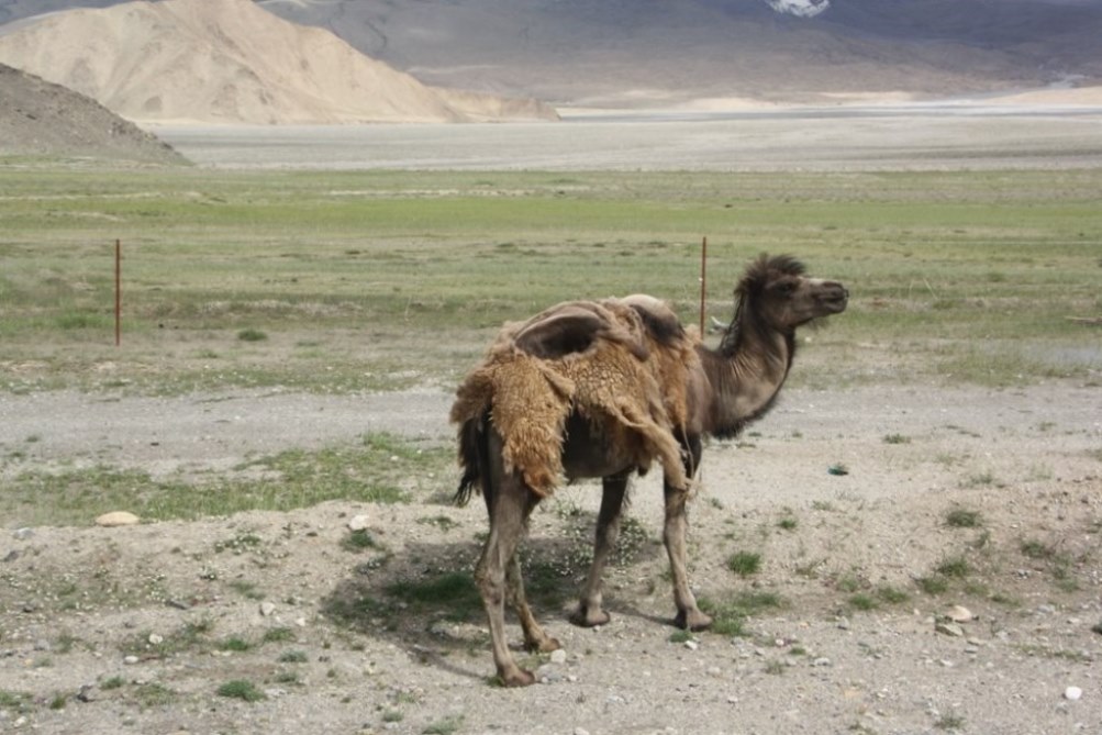 Karakorum Highway, Tajik Autonomous County, Xinjiang, China