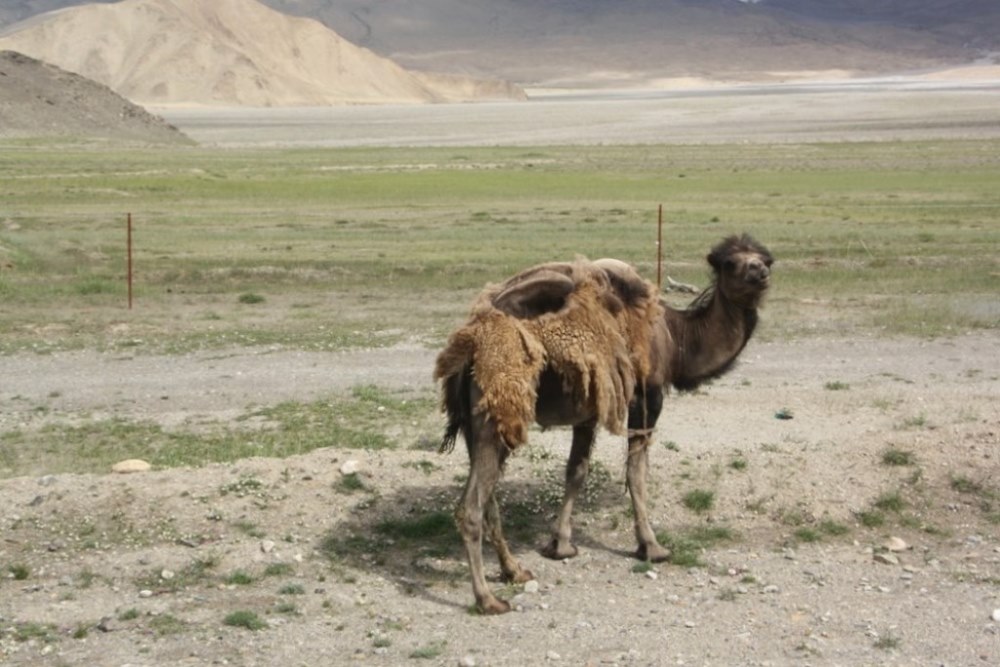 Karakorum Highway, Tajik Autonomous County, Xinjiang, China