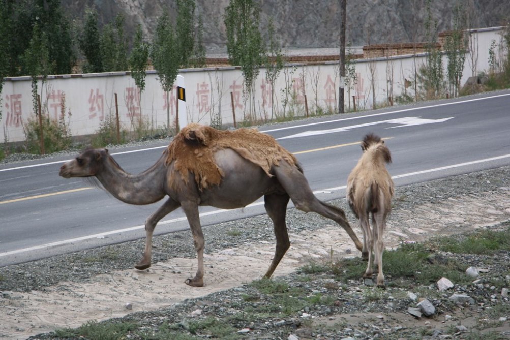 Karakorum Highway, Tajik Autonomous County, Xinjiang, China