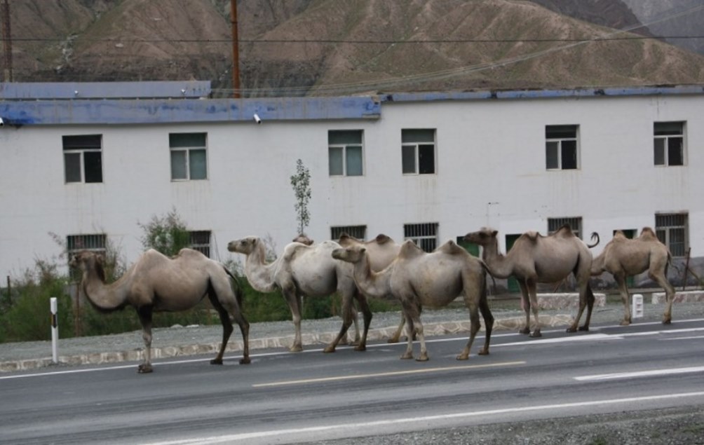 Karakorum Highway, Tajik Autonomous County, Xinjiang, China