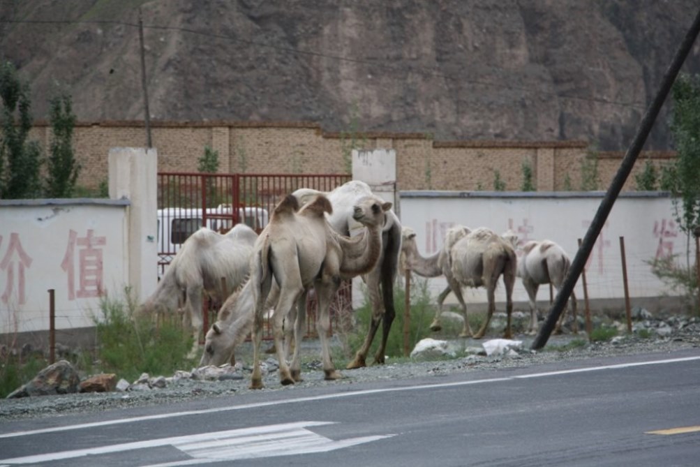 Karakorum Highway, Tajik Autonomous County, Xinjiang, China