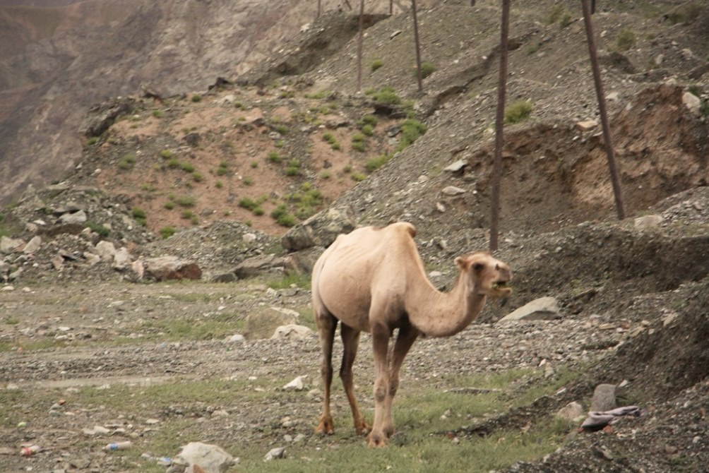 Karakorum Highway, Tajik Autonomous County, Xinjiang, China