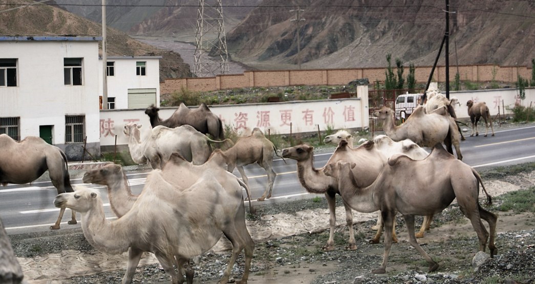 Karakorum Highway, Tajik Autonomous County, Xinjiang, China