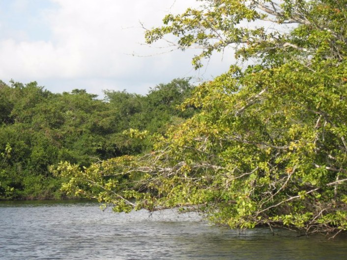  New River, Belize