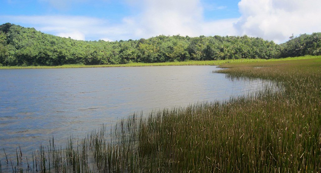 Grand Etang Crater Lake, Grenada