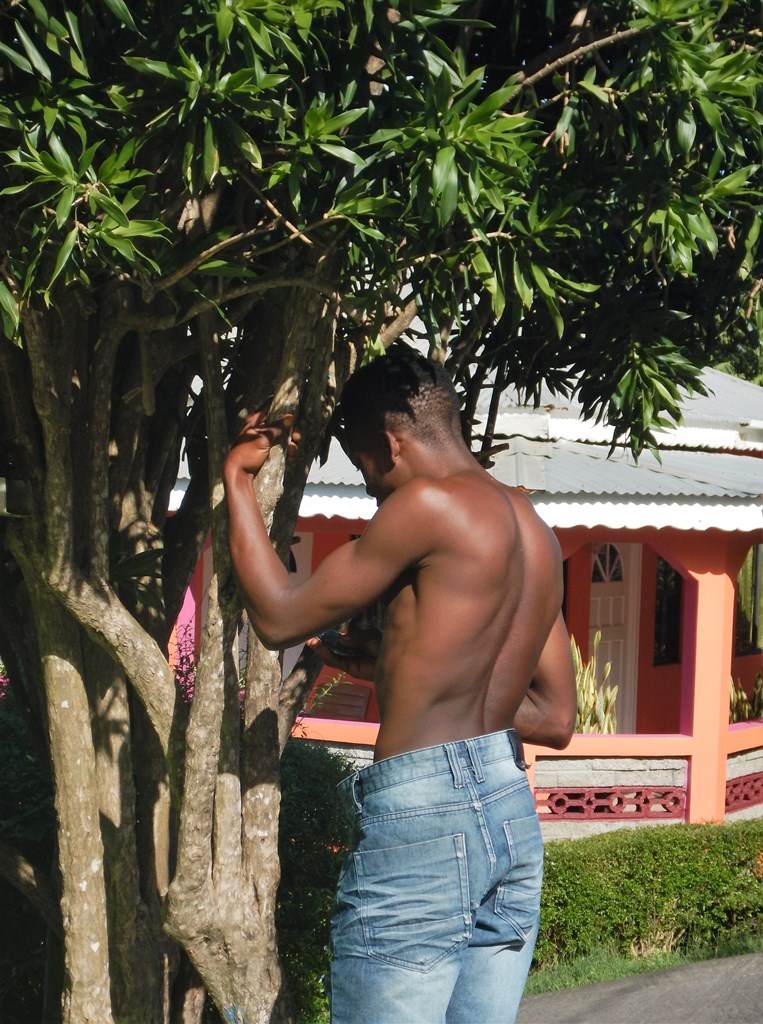 Bougainvillea Apartments, Grand Anse, Grenada 