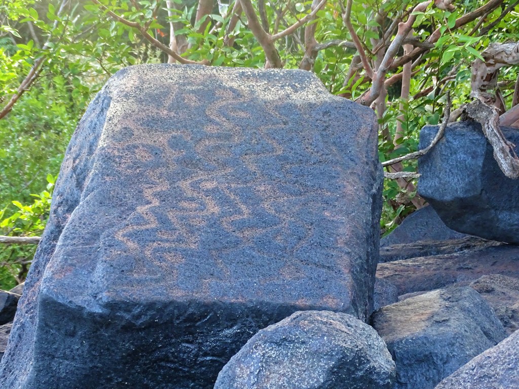 Petroglyphs, Essequibo River, Guyana