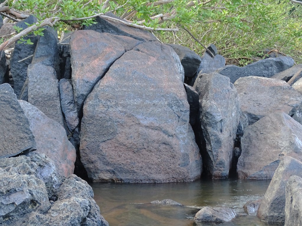  Petroglyphs, Essequibo River, Guyana