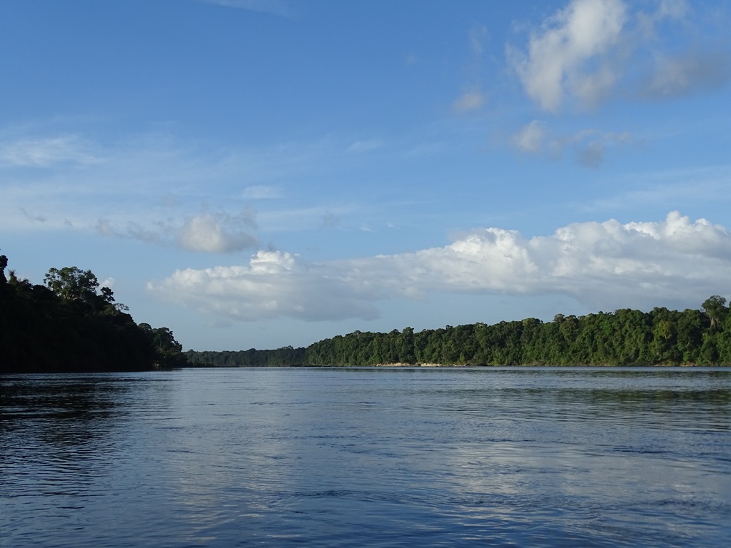  Essequibo River, Guyana