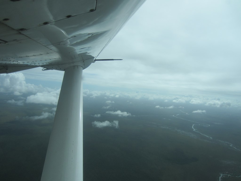 Flight to Iwokrama River Lodge