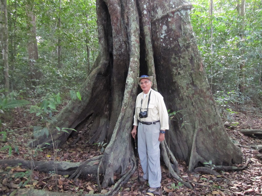 Iwokrama Rain Forest,  Guyana