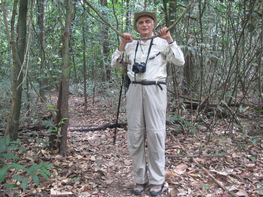 Iwokrama Rain Forest,  Guyana