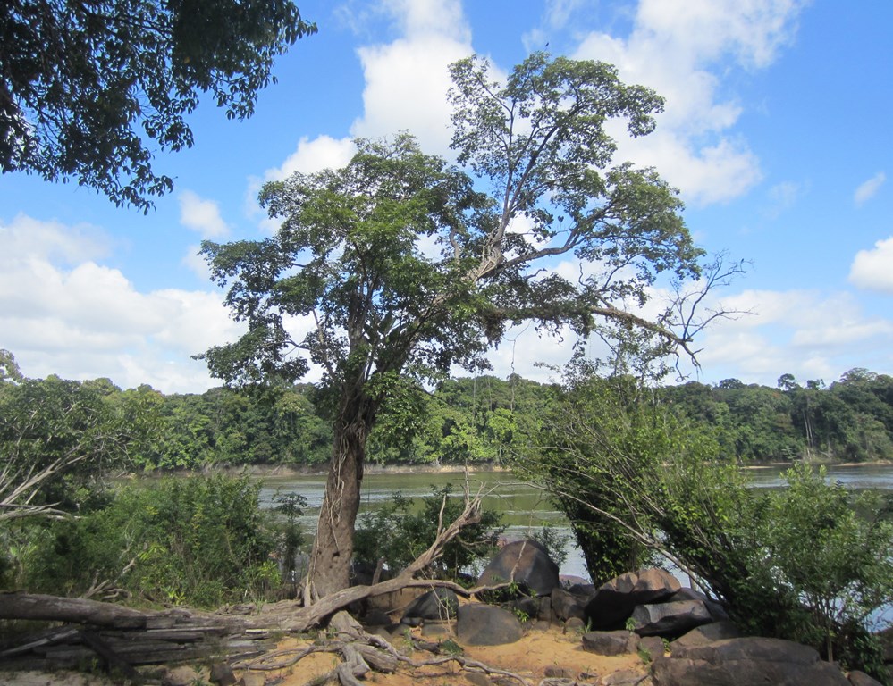  Essequibo River, Guyana