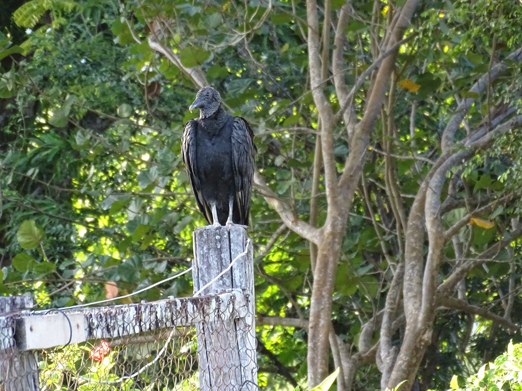 Rock View Lodge, Guyana