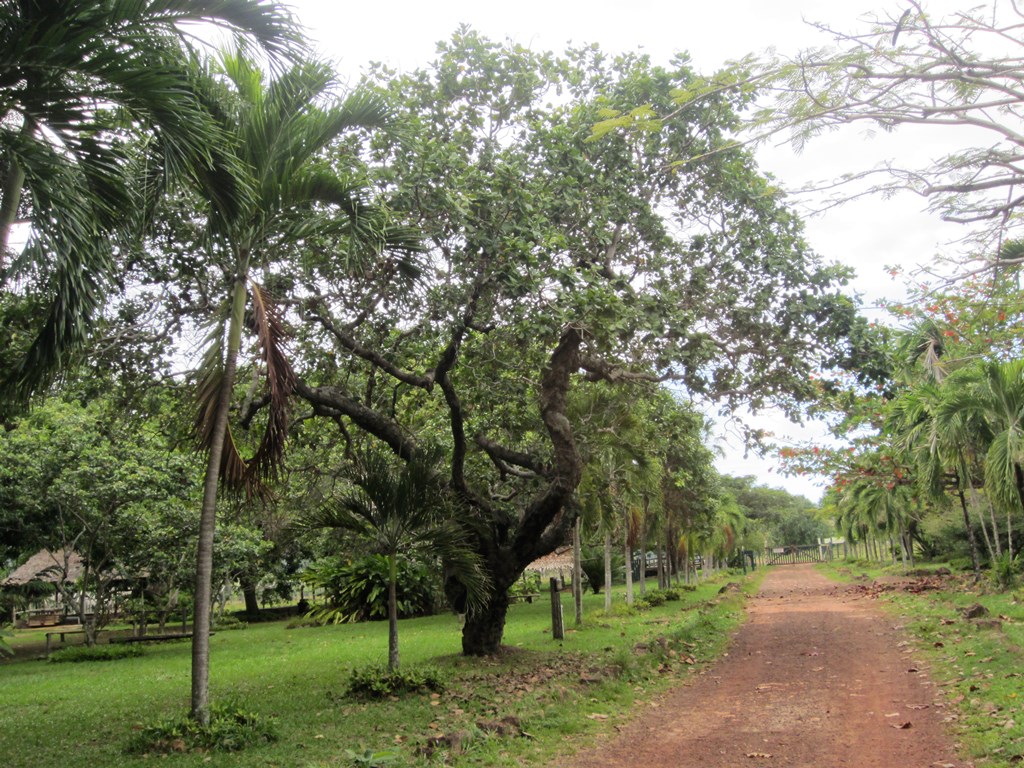 Rock View Lodge, Guyana