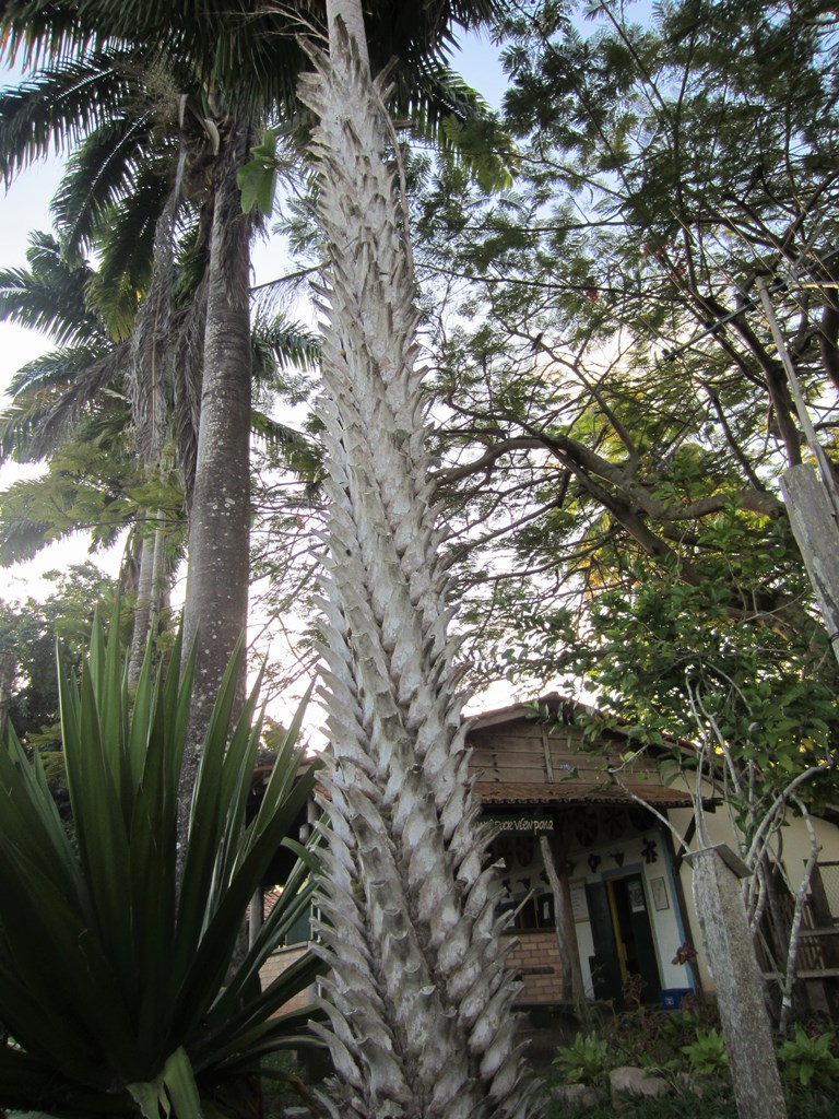 Rock View Lodge, Guyana