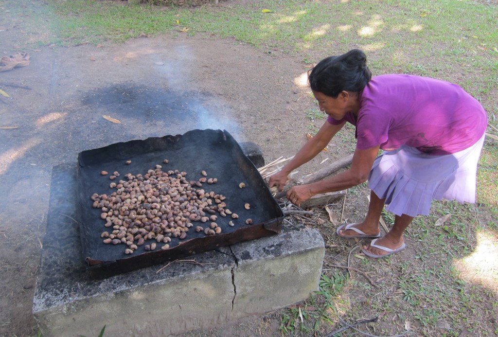 Roasting Cashew Nuts, Rock View Lodge, Guyana