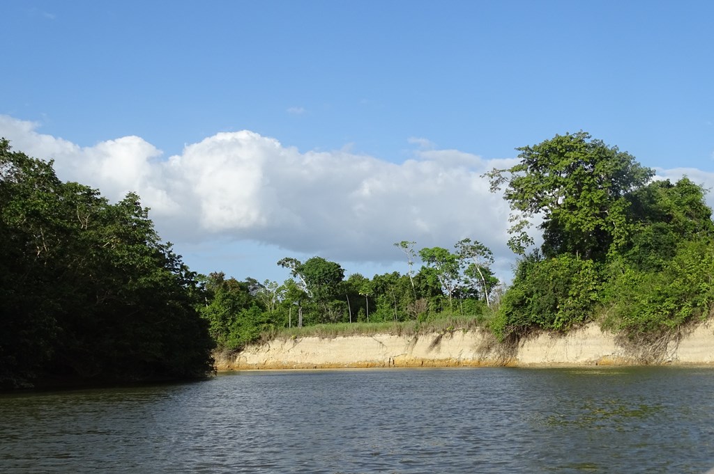 Rupununi River, Karanambu, Guyana