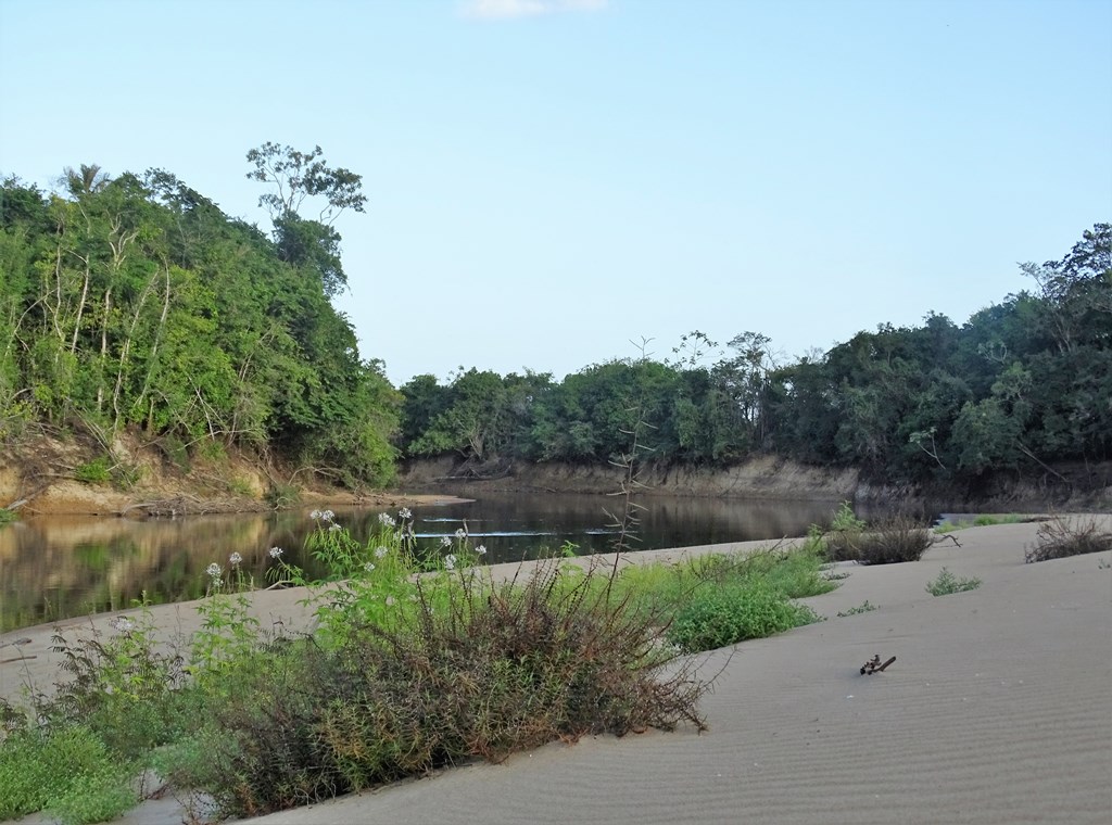 Rupununi River, Karanambu, Guyana