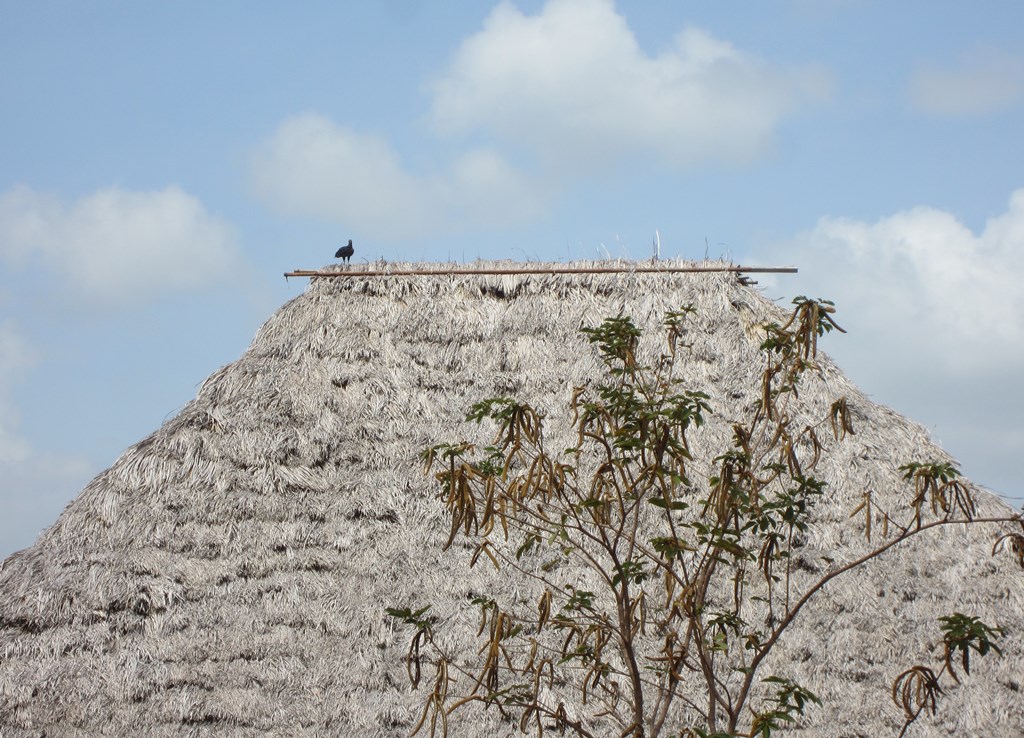 Karanambu Lodge, Guyana