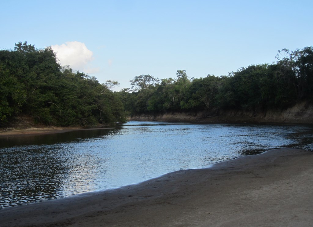 Rupununi River, Karanambu, Guyana