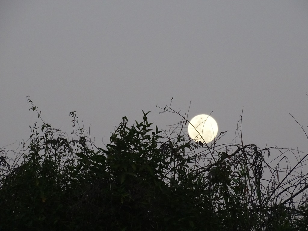 January 30, 2018, Super Moon, Rupununi River, Yupakari, Guyana
