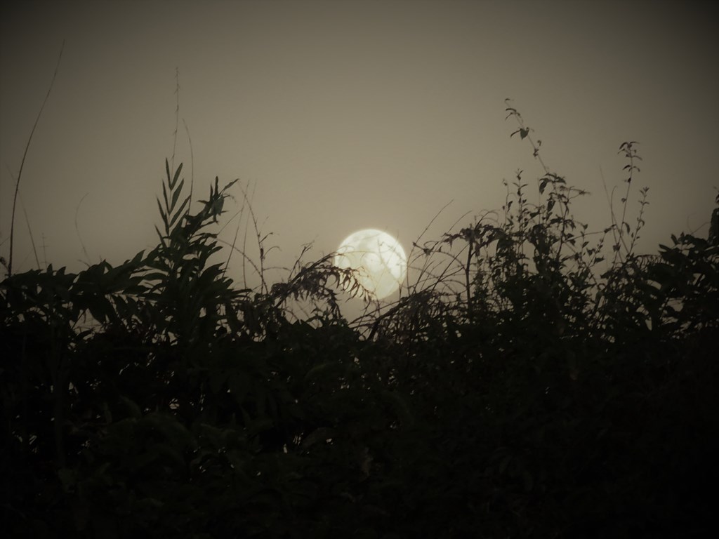 January 30, 2018, Super Moon, Rupununi River, Yupakari, Guyana