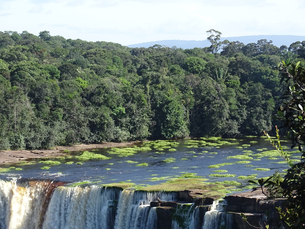   Kaietour, Potaro River, Guyana